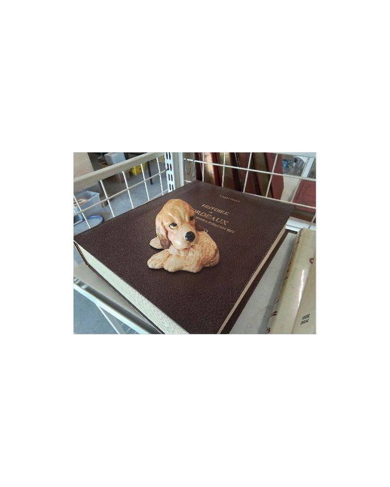 CHIEN RUSTY ANGLAIS
