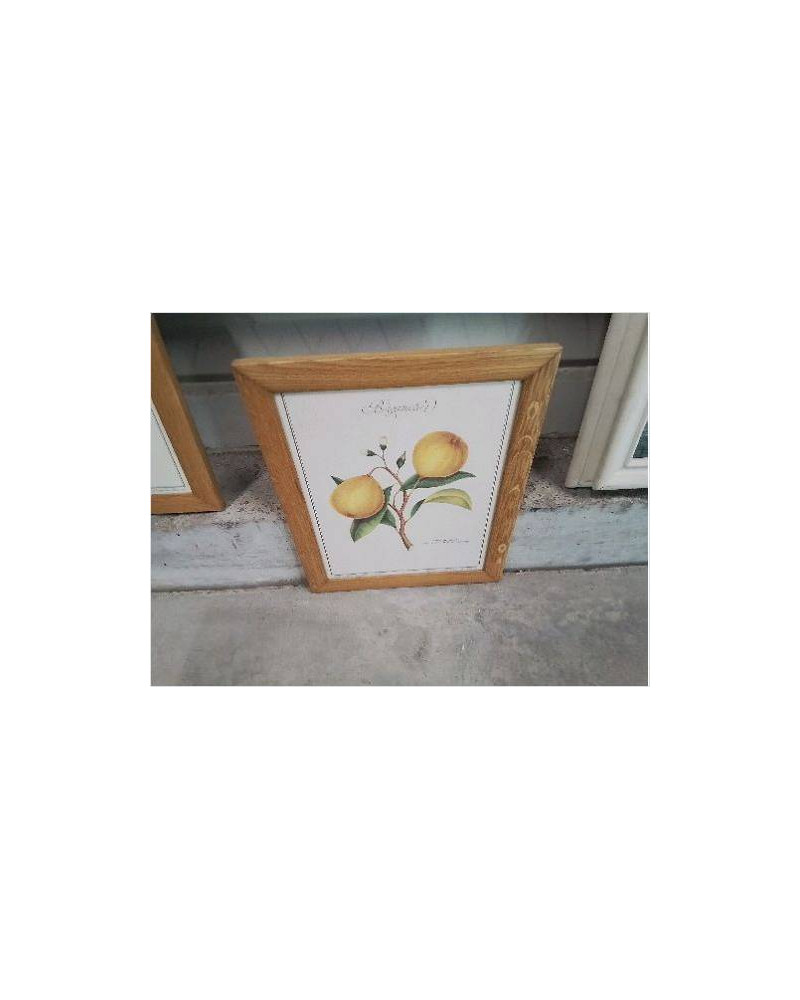 CADRE PM BOIS REPRO PLANTES