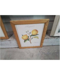 CADRE PM BOIS REPRO PLANTES