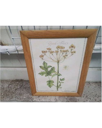 CADRE PM BOIS REPRO PLANTES