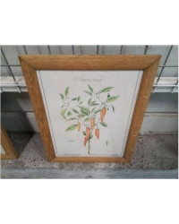 CADRE PM BOIS REPRO PLANTES