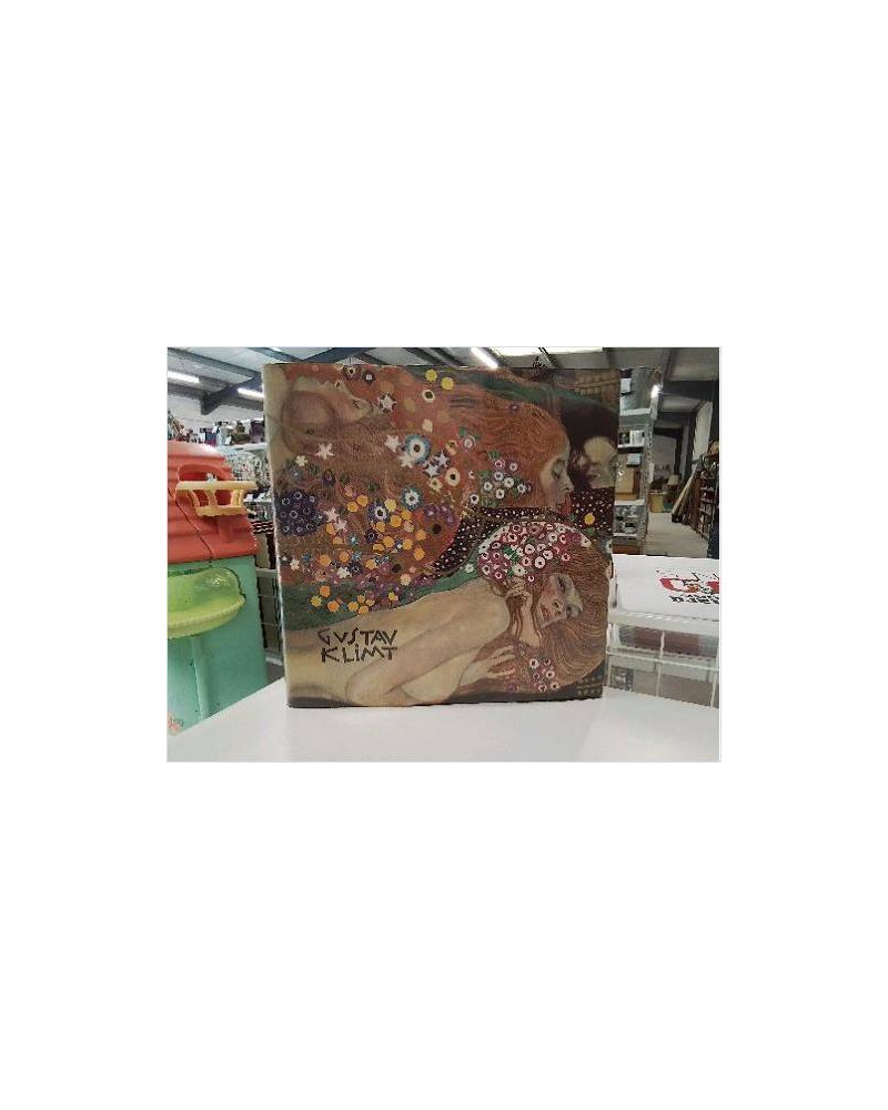 LIVRE DOC GUSTAV KLIMT ED 1975 NEW YORK GRAPHI SOCIETY VAL 150$