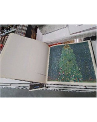 LIVRE DOC GUSTAV KLIMT ED 1975 NEW YORK GRAPHI SOCIETY VAL 150$