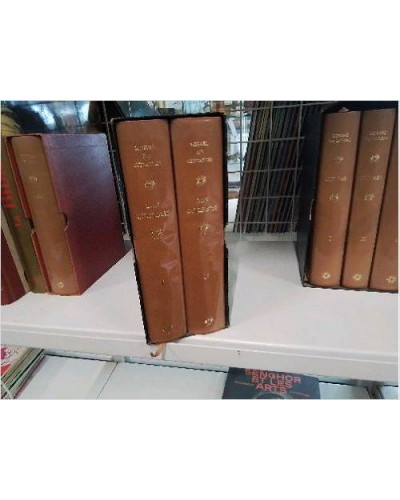 LIVRES DON QUICHOTTE 2 TOMES 