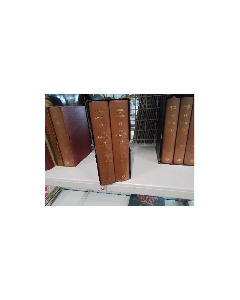LIVRES DON QUICHOTTE 2 TOMES 