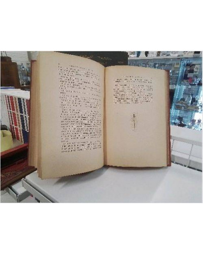 LIVRE ANC 1899 L’HERITAGE DE CHARLEMAGNE 