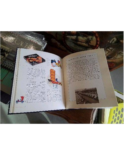 LIVRE L ALSACIENNE 
