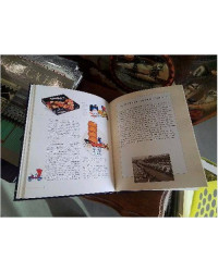 LIVRE L ALSACIENNE 