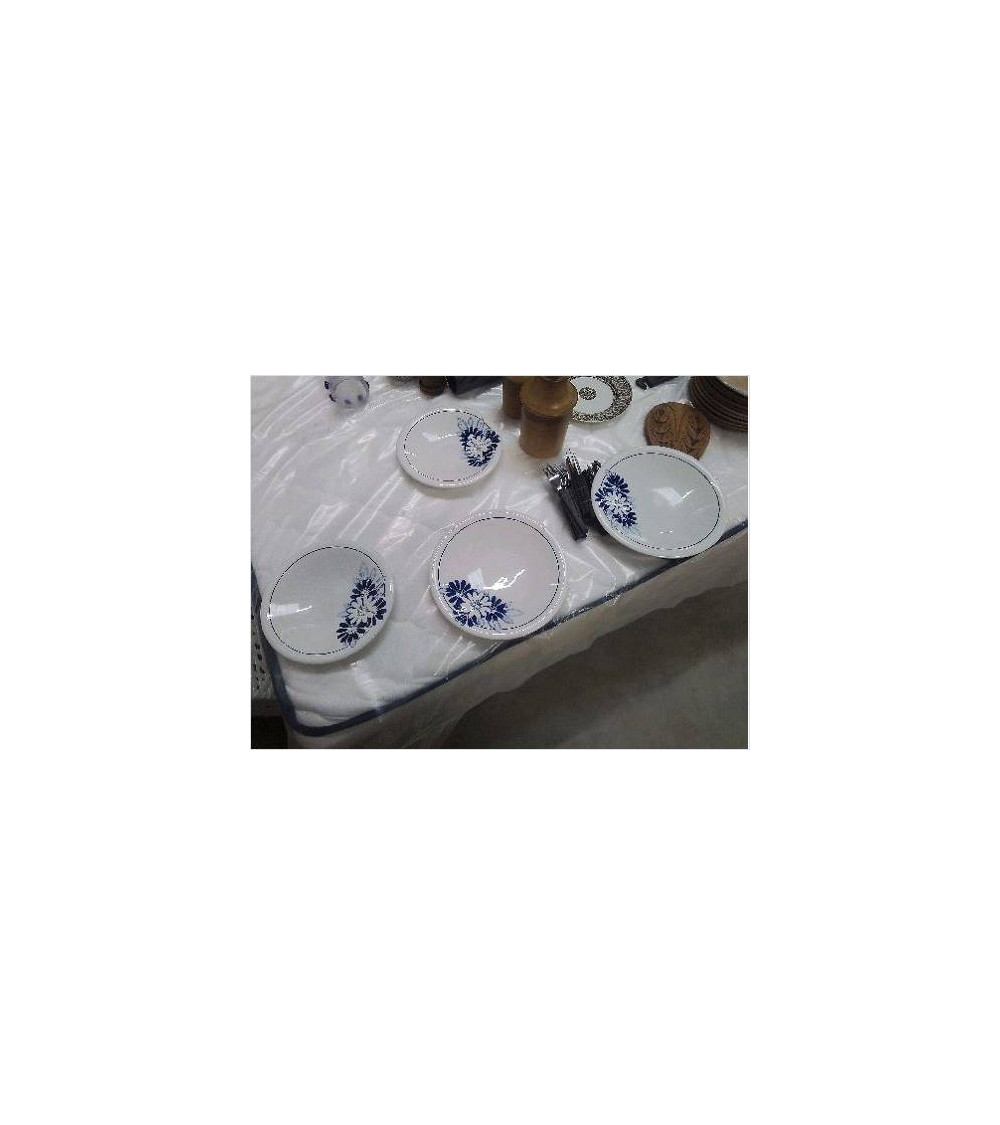 ENS 4 PLATS CREUX ST AMAND FLEURI BLEU