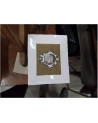 LOT 6 ASSIETTES ANIMAUX RECT