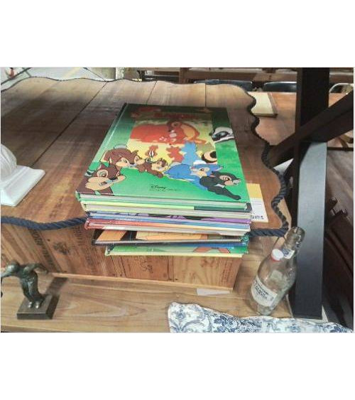 LIVRE DISNEY