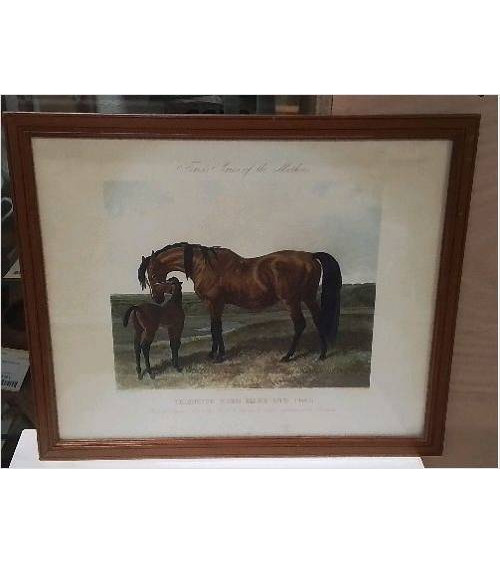 GRAVURE ANGLAISE CHEVAUX...