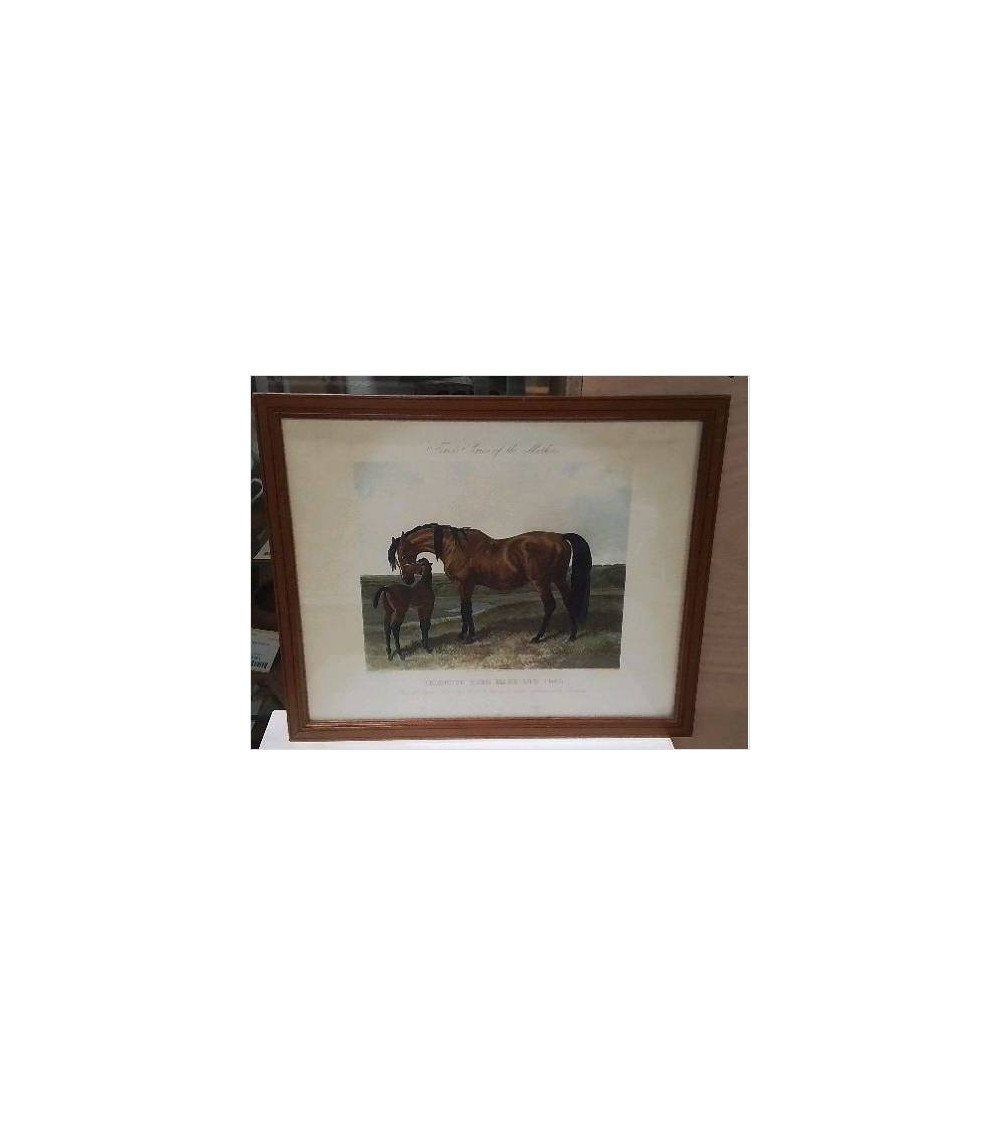 GRAVURE ANGLAISE CHEVAUX CADRE BOIS