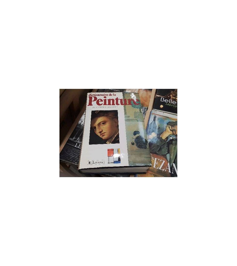 LIVRE DOC DICTIONNAIRE DE LA PEINTURE