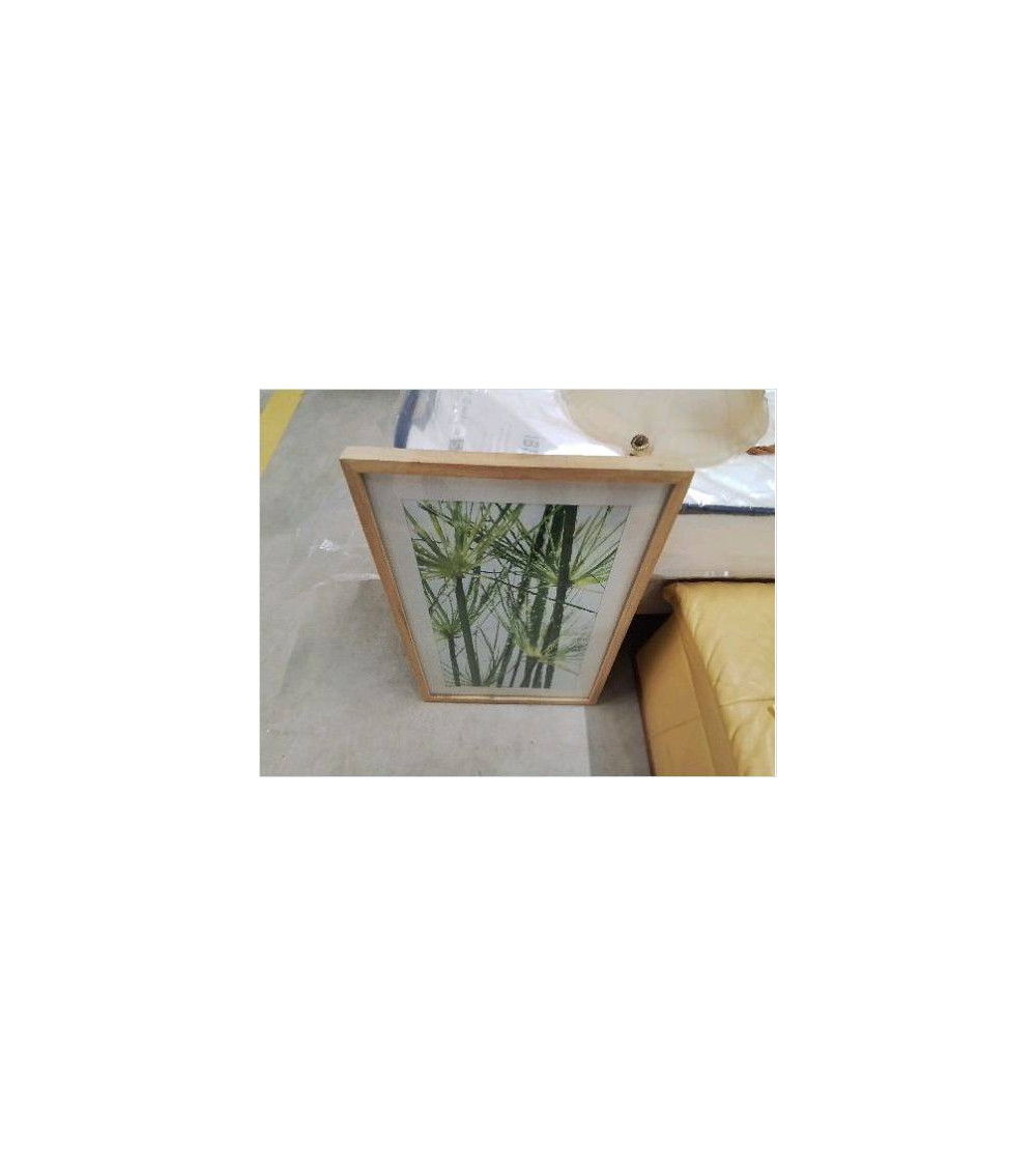 CADRE PLANTES