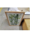 CADRE PLANTES