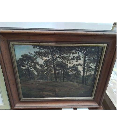 PEINTURE FORÊT VAN LUPPEN