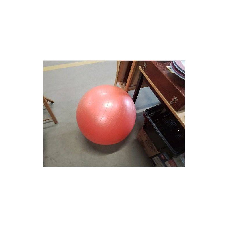 BALLON DE GYM