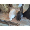 TORTUE MARBRE DECO