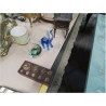 SUJET ANIMAUX PM
