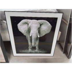 CADRE ELEPHANT