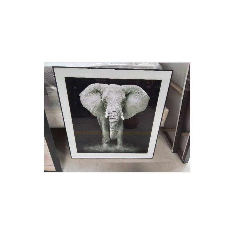 CADRE ELEPHANT