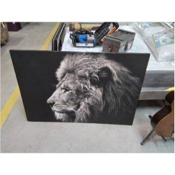 TOILE LION GM