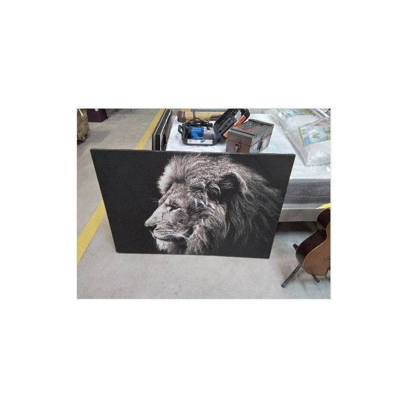 TOILE LION GM