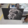 TOILE LION GM