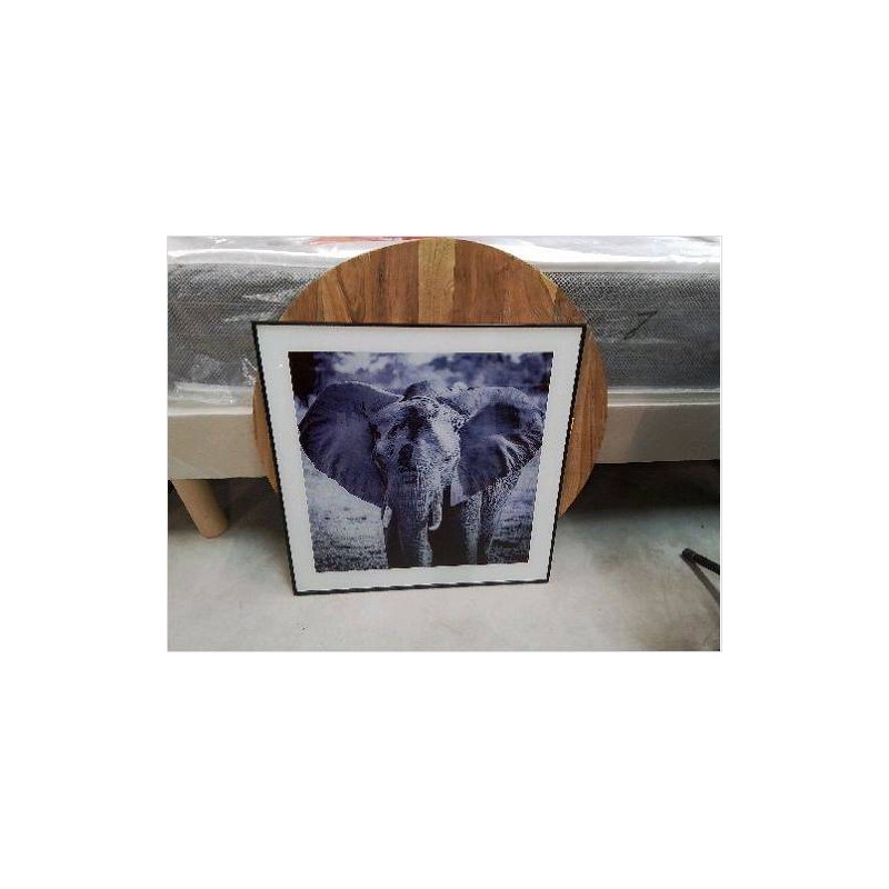CADRE ELEPHANT PM