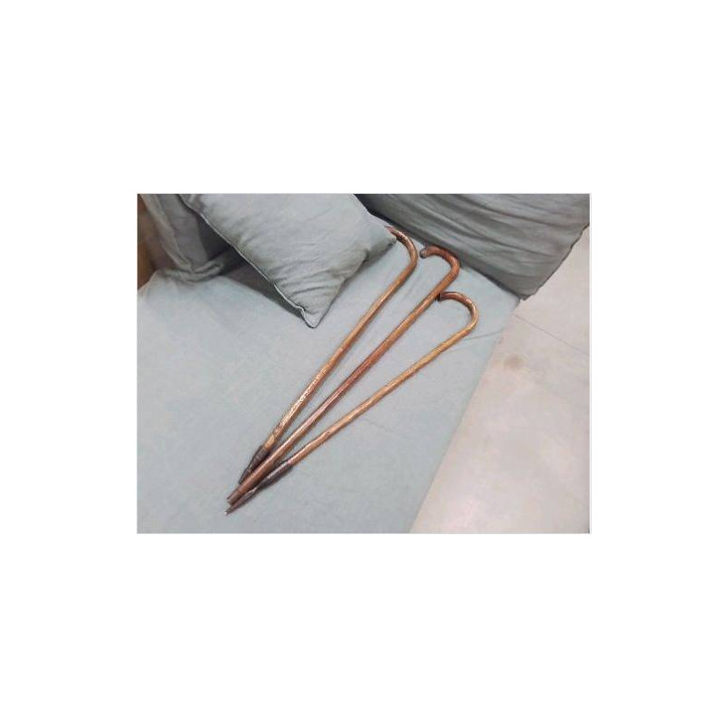 CANNE ANC PIED METAL