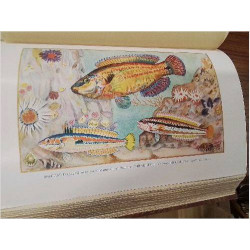 SERIE LIVRE LES POISSONS 1926 DR L.ROULE