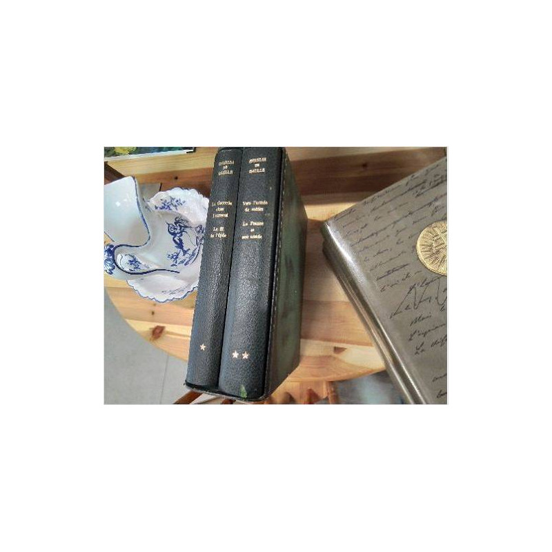 LIVRES CHARLES DE GAULLE EN 2 TOMES 