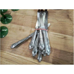 LOT COUTEAUX INOX MANCHE FLEURI