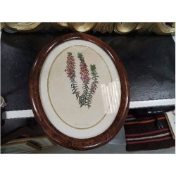 CADRE OVALE GRAVURE FLEURS