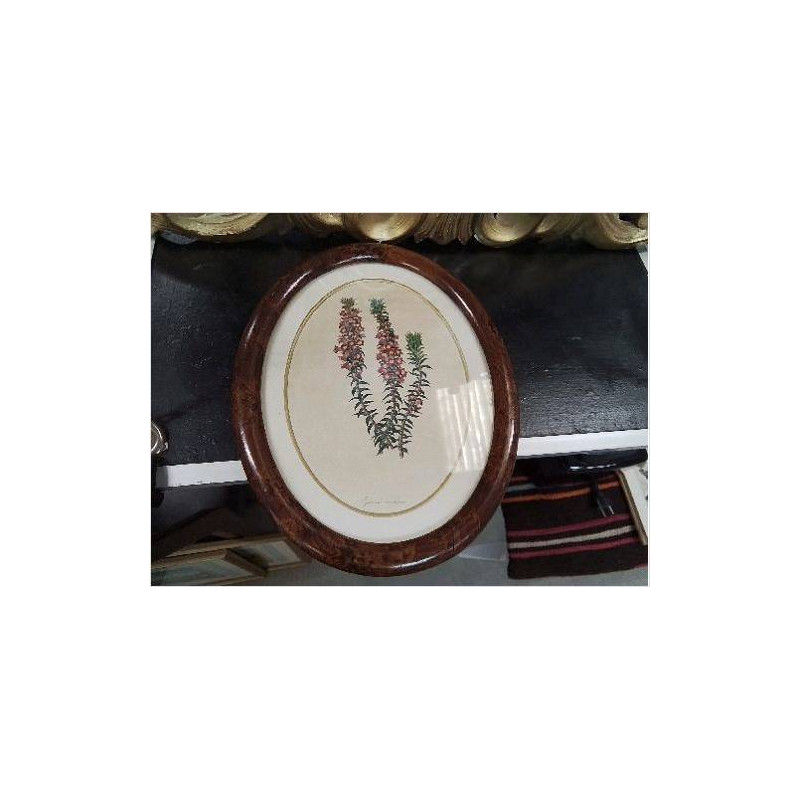 CADRE OVALE GRAVURE FLEURS