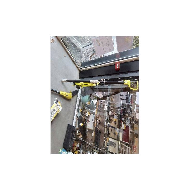 TRONÇONNEUSE RYOBI +MANCHE TÉLESCOPIQUE 