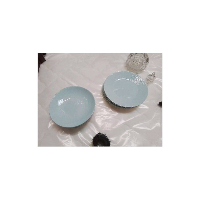 LOT ASSIETTES BLEUES CERANORD