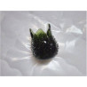 VASE VERT TPM VERT PETALES
