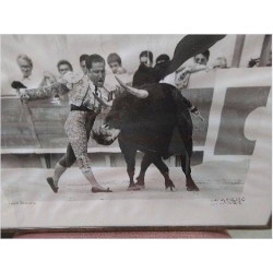 CADRE PHOTO CORRIDA MICHEL PRADEL