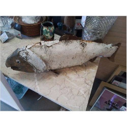 POISSON BOIS DECO BOIS
