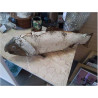 POISSON BOIS DECO BOIS