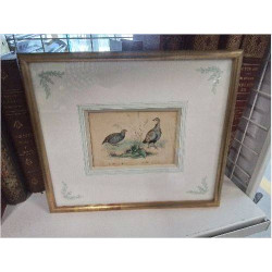 CADRE DORE PM OISEAUX