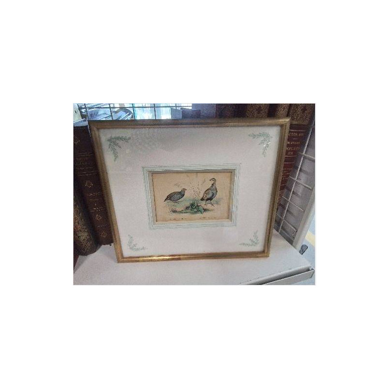 CADRE DORE PM OISEAUX