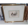 CADRE DORE PM OISEAUX