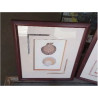 CADRE REPRO GRAVURE COQUILLAGES