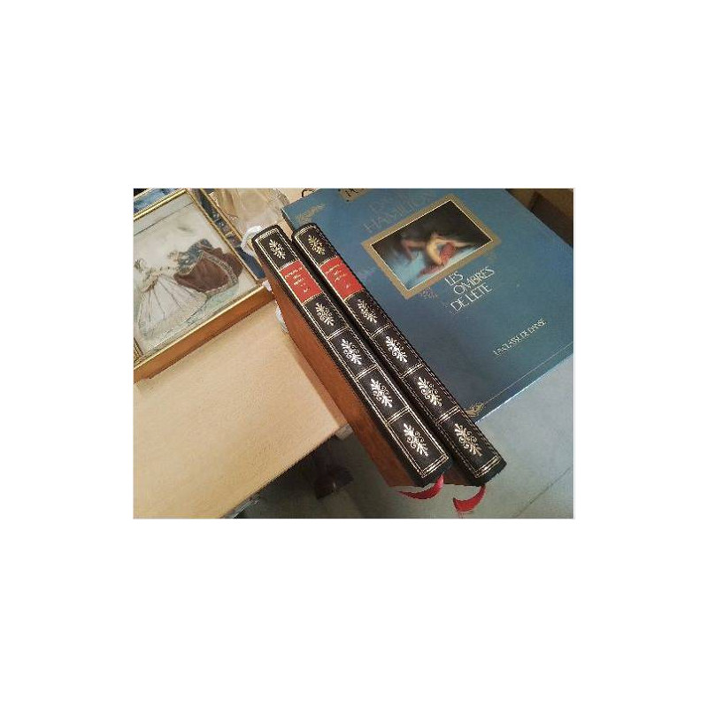 LIVRE DICTIONNAIRE DE LA PEINTURE