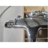 MITIGEUR THERMOSTATIQUE DE DOUCHE + PAUME DE DOUCHE GROHE