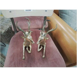 COUPLE CERFS LAITONS