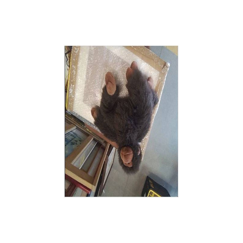 SINGE PELUCHE IKEA